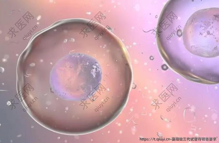 襄阳做三代试管有哪些要求