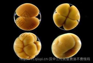 汉中三代试管费油不费钱吗