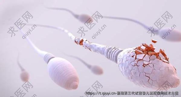 襄阳第三代试管婴儿医院费用技术介绍