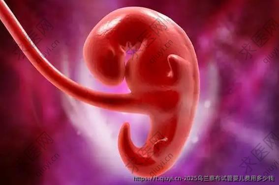 2025乌兰察布试管婴儿费用多少钱