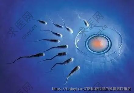辽阳比较不错的试管医院排名