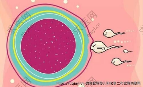 吉林试管婴儿排名第二代试管的费用