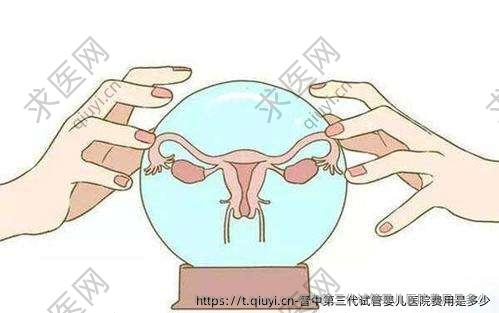 晋中三：代试管婴儿医院费用是多少