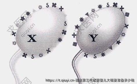 酒泉第三代试管婴儿大概要准备多少钱