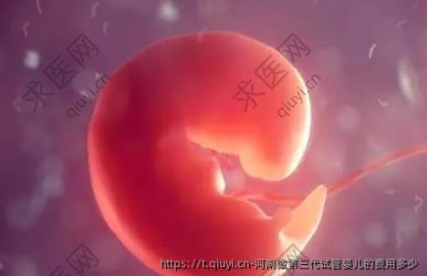 河南做第三代试管婴儿的费用多少