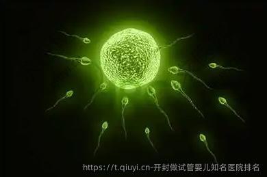 开封做试管婴儿出名医院排名
