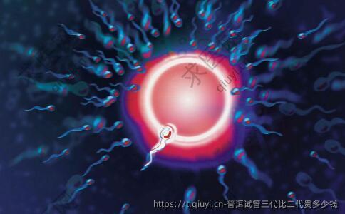普洱试管三代比二代贵多少钱