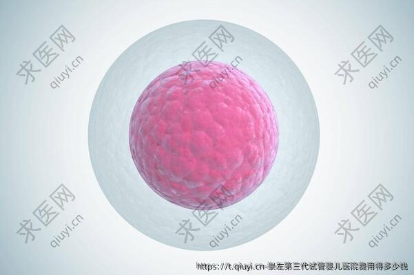 崇左三：代试管婴儿医院费用得多少钱