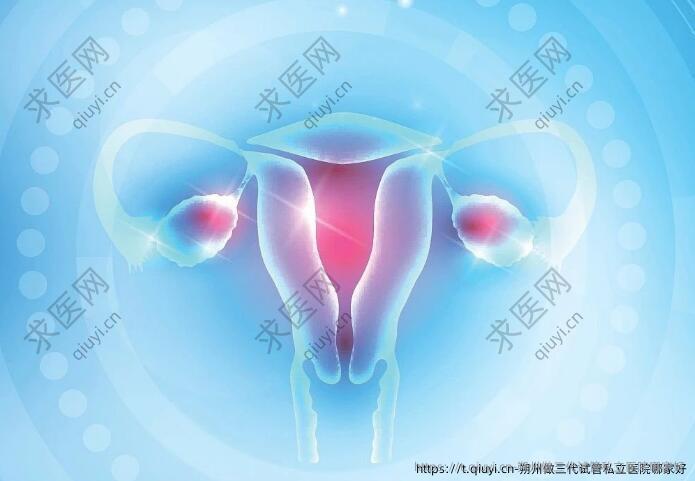 朔州做三代试管私立医院哪家好