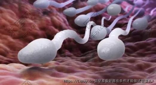 鹤壁准备好哪些条件才能做试管婴儿?