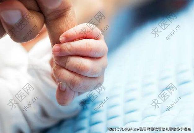 去吉林做试管婴儿需要多少费用
