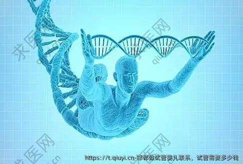 邯郸做试管婴儿联系，试管需要多少钱