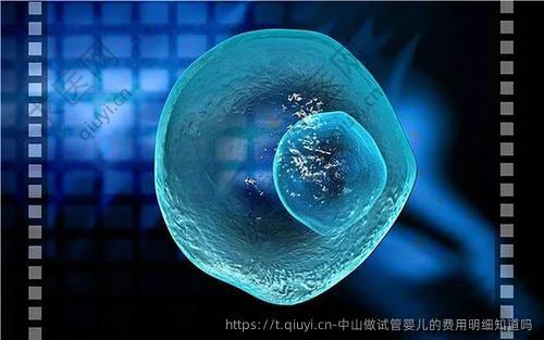 中山做试管婴儿的费用明细知道吗