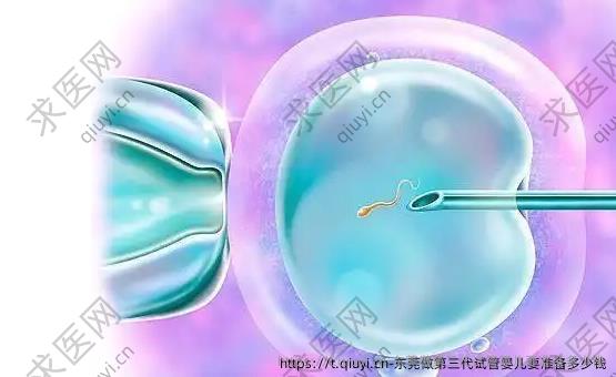 东莞做第三代试管婴儿要准备多少钱