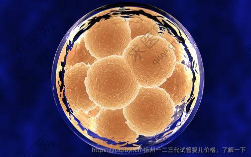 扬州一二三代试管婴儿价格，了解一下