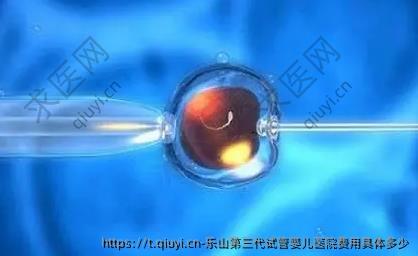 乐山第三代试管婴儿医院费用具体多少