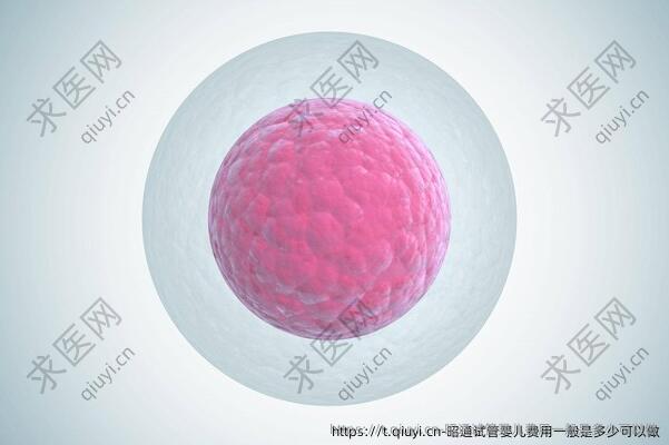 昭通试管婴儿费用一般是多少可以做