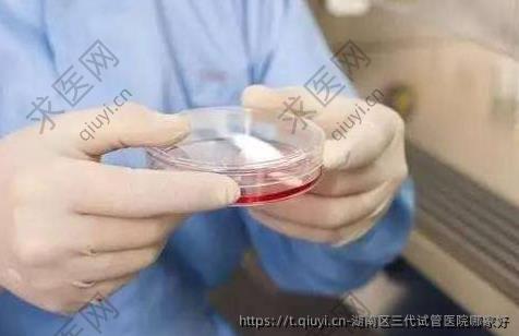湖南区三代试管医院哪家好