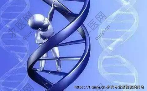 来宾专业试管医院排名