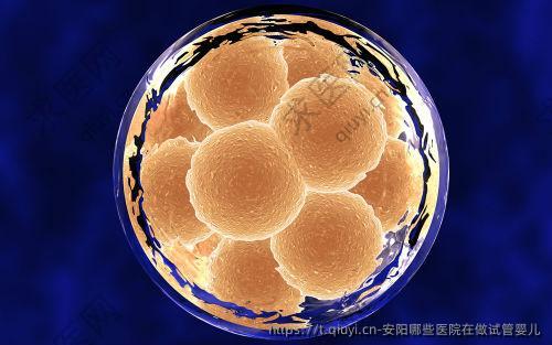 安阳哪些医院在做试管婴儿