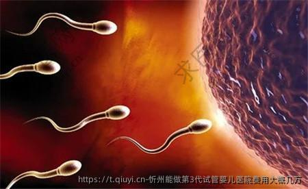 忻州能做第3代试管婴儿医院费用大概几万