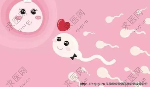 东莞做试管婴儿医院哪家医院好