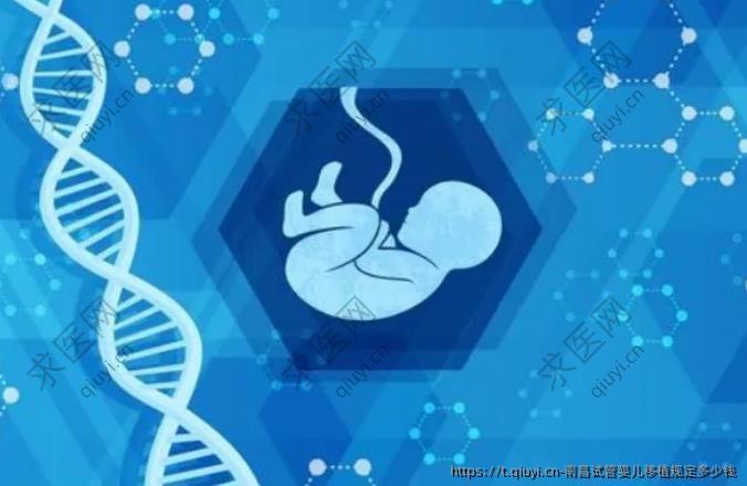 南昌试管婴儿移植规定多少钱
