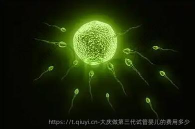 大庆做第三代试管婴儿的费用多少