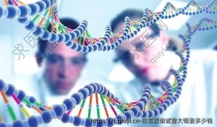 在东莞做试管大概要多少钱