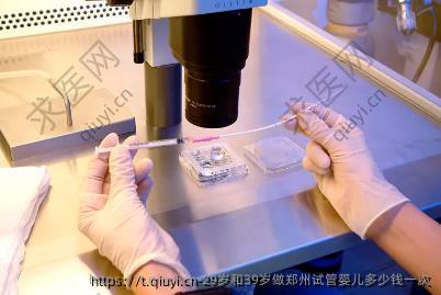 29岁和39岁做郑州试管婴儿多少钱一次