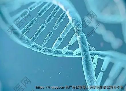 找广元试管婴儿医院医生做试管多少钱