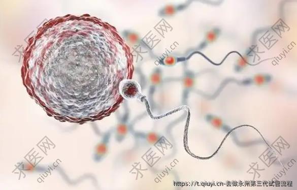 去做永州第三代试管流程