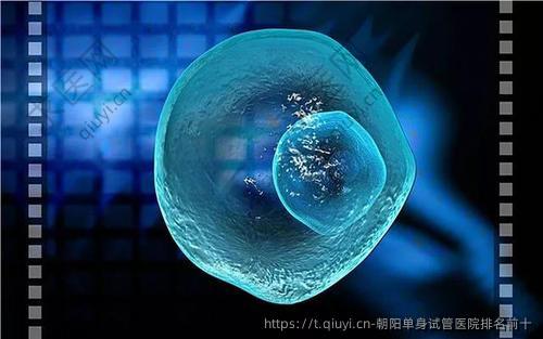 朝阳单身试管医院排名前十