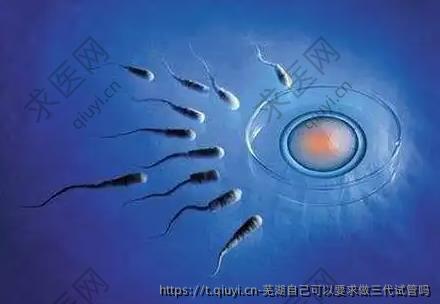 芜湖自己可以要求做三代试管吗