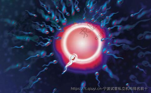 宁波试管私立机构排名前十