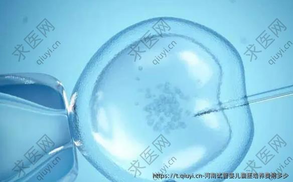 河南试管婴儿囊胚培养费用多少