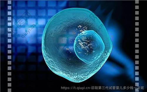 邵阳第三代试管婴儿多少钱一次呢
