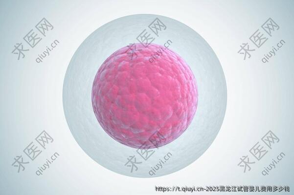 2025黑龙江试管婴儿费用多少钱
