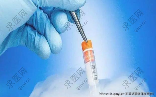 东莞试管条件及费用?