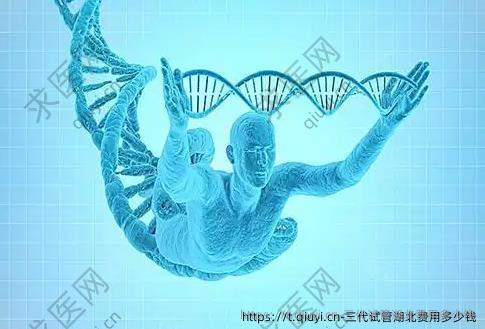 三代试管湖北费用多少钱