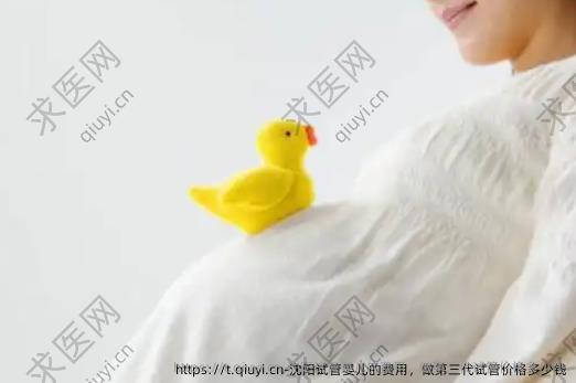 沈阳试管婴儿的费用，做第三代试管价格多少钱