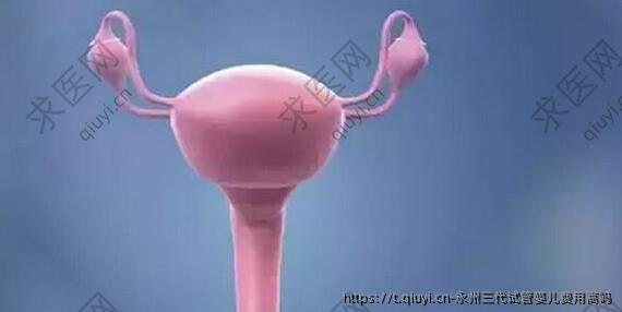 永州三代试管婴儿费用高吗