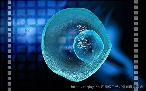 四川做三代试管有哪些要求