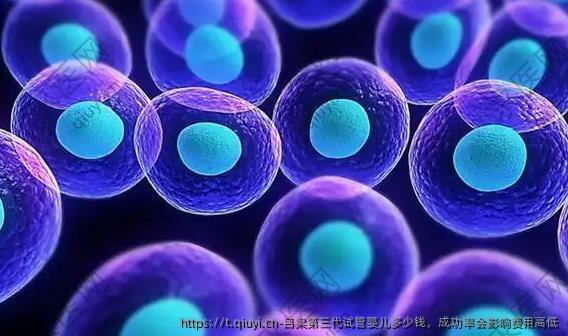 吕梁第三代试管婴儿多少钱，成功率会影响费用高低