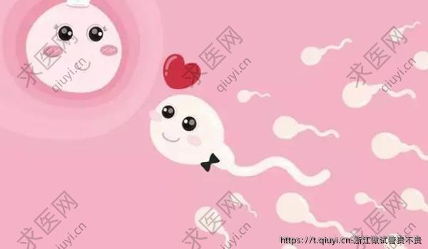 浙江做试管贵不贵