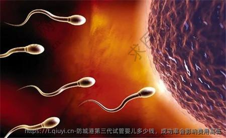 防城港第三代试管婴儿多少钱，成功率会影响费用高低