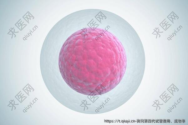 黄冈第四代试管费用、成功率
