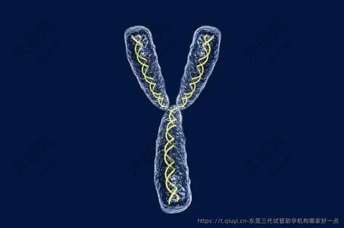 东莞三代试管助孕机构哪家好一点