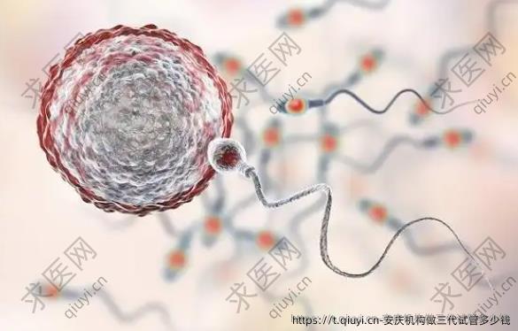 安庆机构做三代试管多少钱