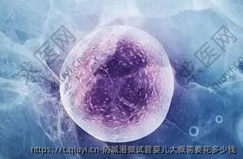 防城港做试管婴儿大概需要花多少钱